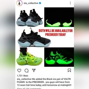 New In Box Vulture Foam